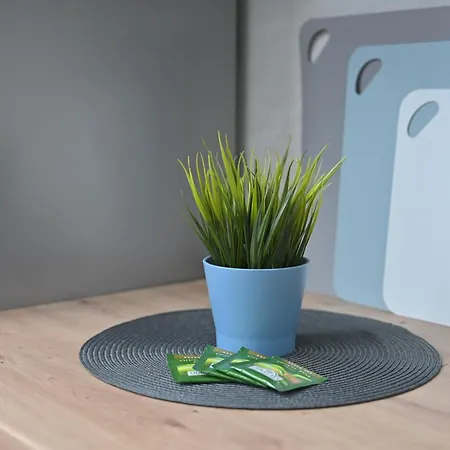 Apartment 6 Belgrade